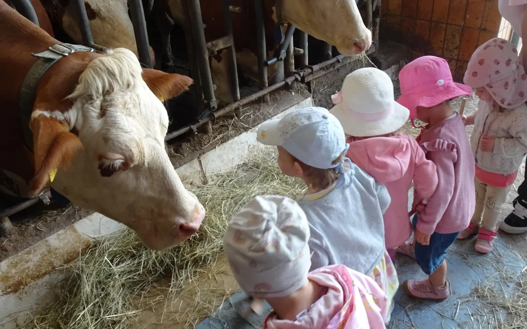 Katholisches Kinderhaus – Ausflug auf den Bauernhof